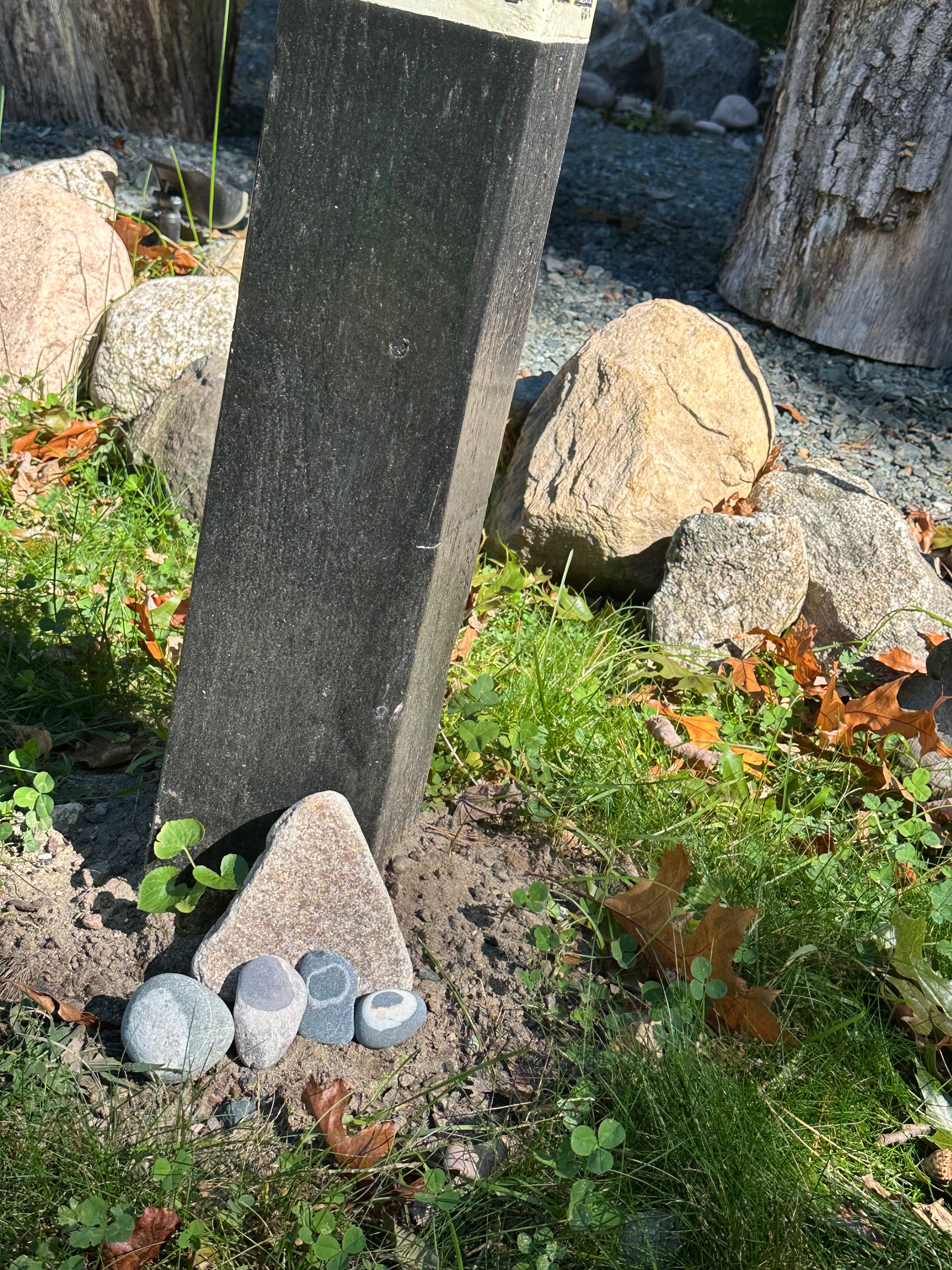 Seven Stone Illumination